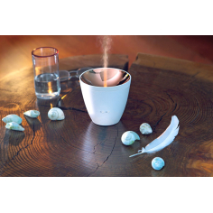 ZOÉ Aromavernebler weiss