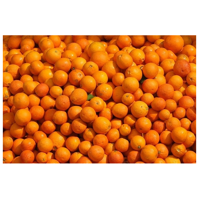 Orange süss BIO Orange süss BIO