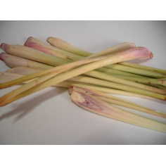 Lemongrass BIO