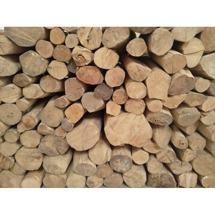 Sandelholz Mysore BIO