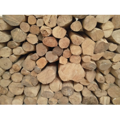 Sandelholz Mysore BIO