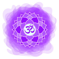 Scheitel Chakraöl BIO