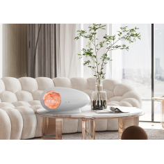 EROS Aroma Diffuser & Himalayasalz Lampe