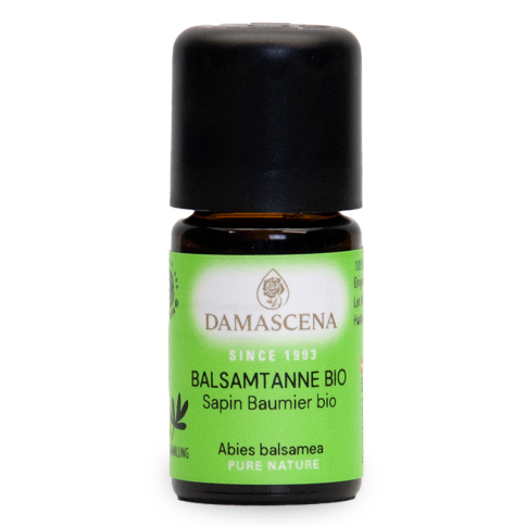 Balsamtanne BIO - ätherisches Öl