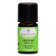Lärche BIO ätherisches Öl | Larix decidua (Pinaceae) | 100% naturrein