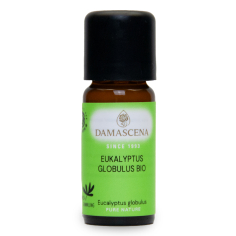 Eukalyptus Globulus BIO ätherisches Öl | Eucalyptus globulus | 100% naturrein