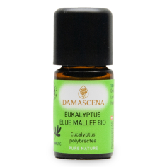 Eukalyptus Blue Mallee Bio