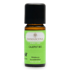 Cajeput BIO ätherisches Öl | Melaleuca leucadendron | 100% naturrein