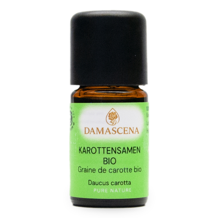 Karottensamen BIO - ätherisches Öl Karottensamen BIO - ätherisches Öl