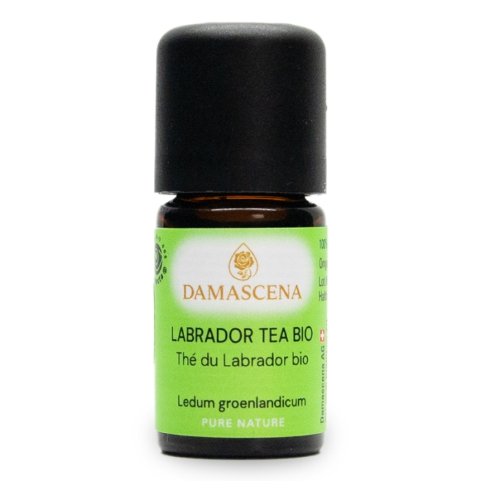 Labrador Tea BIO - ätherisches Öl Labrador Tea BIO - ätherisches Öl