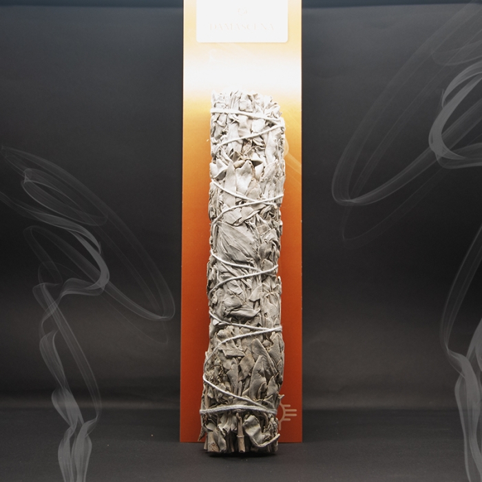 Salbeibündel weiss gross