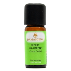 Zedrat (Ur-Zitrone)