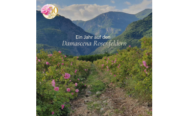 Ein Jahr auf den Damascena Rosenfeldern