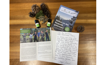 Wir stärken den Bergwald